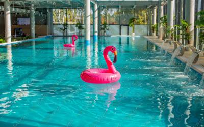 Сауна Termoland Пенза, в Пензе, пр-т.Строителей, 37И | бассейн | 101sauna.ru
