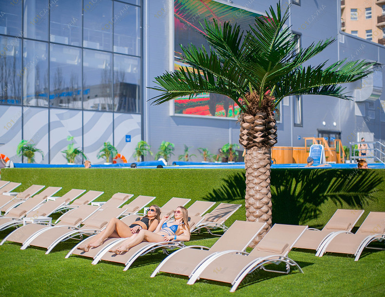 Сауна Termoland Пенза, в Пензе, пр-т.Строителей, 37И | лежаки | 101sauna.ru